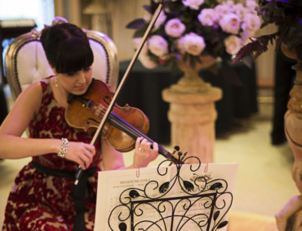 Sydney Solo Violinist