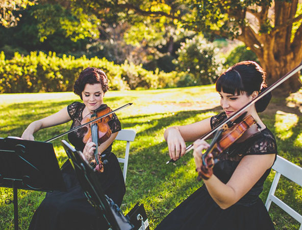 Sydney Solo Violinist